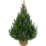 Ель TRIUMPH TREE КОРОЛЕВСКАЯ 100% литая 60 см в мешочке зеленая 72266
